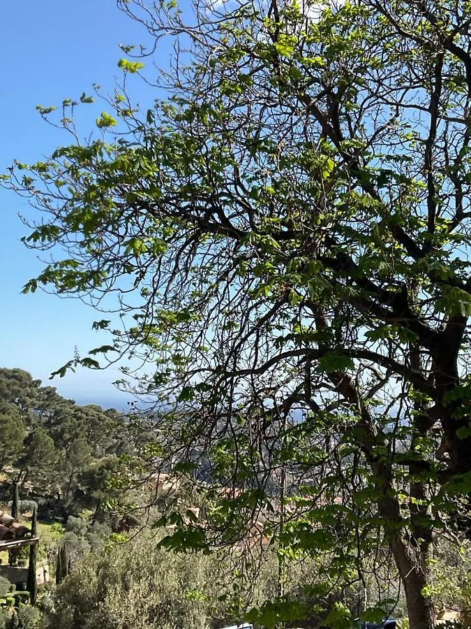 Hébergement de vacances Maison Independante Vue Mer Au Coeur De La Nature Toulon